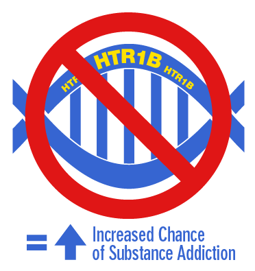 HTR1B