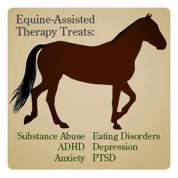 Equine Therapy